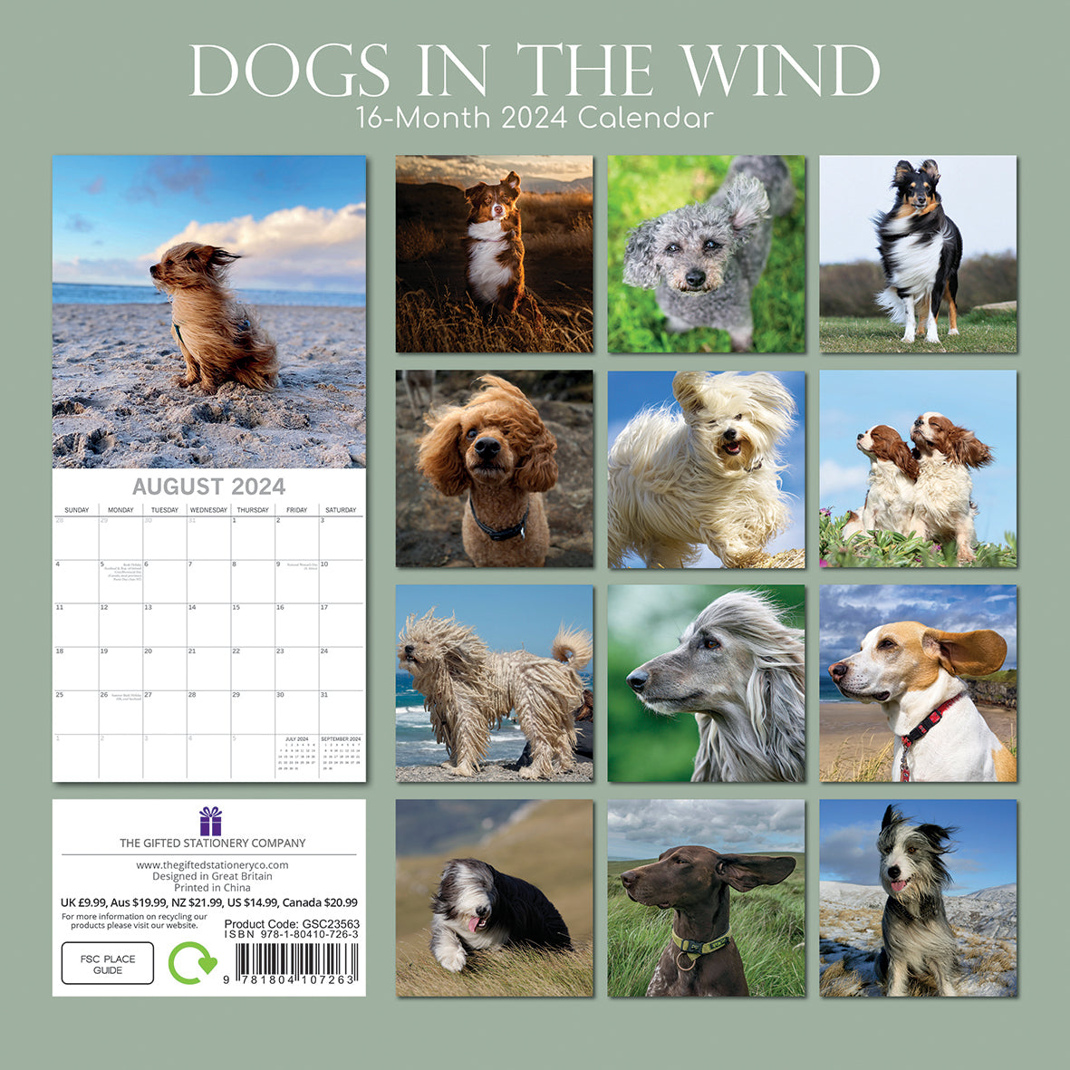 Dogs in the Wind 2024 Square Wall Calendar Pets Animals 16 Month Premium Planner