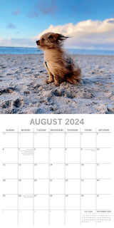 Dogs in the Wind 2024 Square Wall Calendar Pets Animals 16 Month Premium Planner - Top-Down View