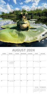 Fabulous Frogs - 2024 Square Wall Calendar Pets Animals 16 Month Premium Planner - Top-Down View