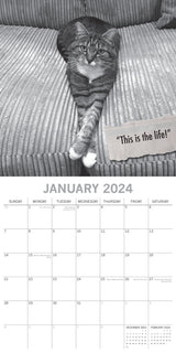 Moggies - 2024 Square Wall Calendar Pets Animals 16 Months Premium Planner Gift - Side View