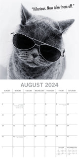Moggies - 2024 Square Wall Calendar Pets Animals 16 Months Premium Planner Gift - Top-Down View
