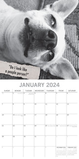Mutts - 2024 Square Wall Calendar Pets Animals 16 Month Premium Planner New Year - Side View