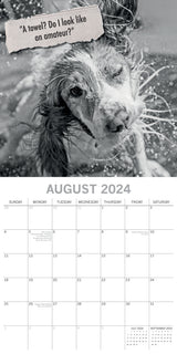 Mutts - 2024 Square Wall Calendar Pets Animals 16 Month Premium Planner New Year - Top-Down View