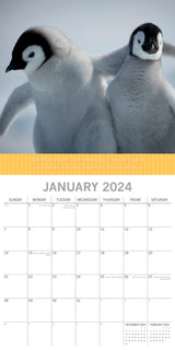 Best Friends - 2024 Square Wall Calendar Pets Animals 16 Months Premium Planner - Side View