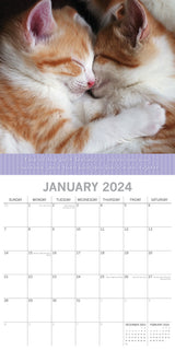 Hugs - 2024 Square Wall Calendar Pets Animals 16 Months Premium Planner New Year - Side View