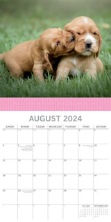 Kisses 2024 Square Wall Calendar Pets Animals 16 Months Premium Planner New Year - Top-Down View