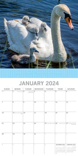 Mother's Love - 2024 Square Wall Calendar Pets Animals 16 Months Premium Planner - Side View
