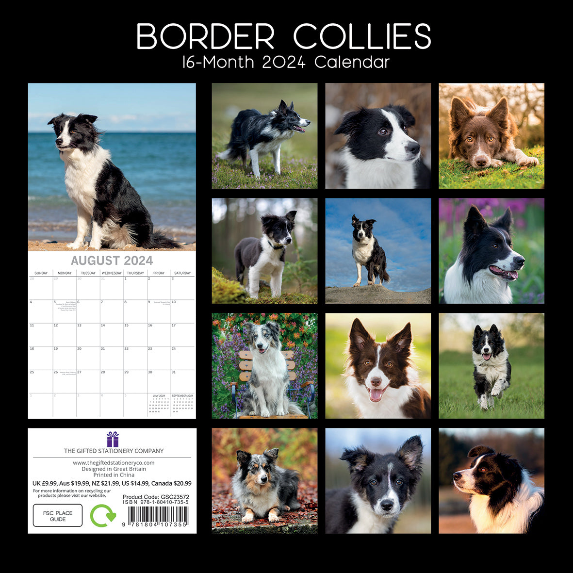 Border Collies - 2024 Square Wall Calendar Pets Dog 16 Months Premium Planner