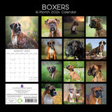 Boxers - 2024 Square Wall Calendar Pets Dog 16 Months Premium Planner New Year - Front View