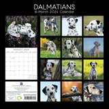 Dalmatians 2024 Square Wall Calendar Pets Dog 16 Months Premium Planner New Year - Front View
