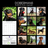 Dobermans - 2024 Square Wall Calendar Pets Dog 16 Month Premium Planner New Year