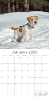 Jack Russells - 2024 Square Wall Calendar Pets Dog 16 Month Premium Planner Gift - Side View