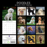 Poodles - 2024 Square Wall Calendar Pets Dog 16 Months Premium Planner New Year - Front View