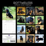 Rottweilers 2024 Square Wall Calendar Pets Dog 16 Month Premium Planner New Year - Front View