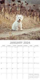 West Highland White Terriers 2024 Square Wall Calendar Pets Dog 16 Month Planner - Side View