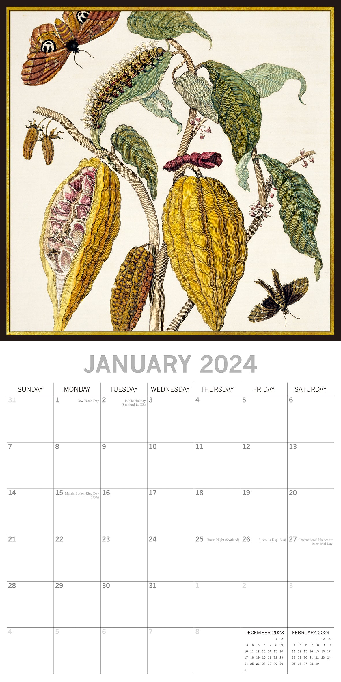 Insects 2024 Square Wall Calendar 16 Months Arts Planner Christmas New Year Gift
