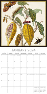 Insects 2024 Square Wall Calendar 16 Months Arts Planner Christmas New Year Gift