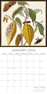 Insects 2024 Square Wall Calendar 16 Months Arts Planner Christmas New Year Gift - Side View