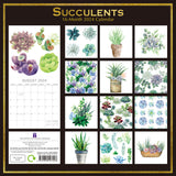 Succulents - 2024 Square Wall Calendar 16 Months Arts Planner Xmas New Year Gift - Front View