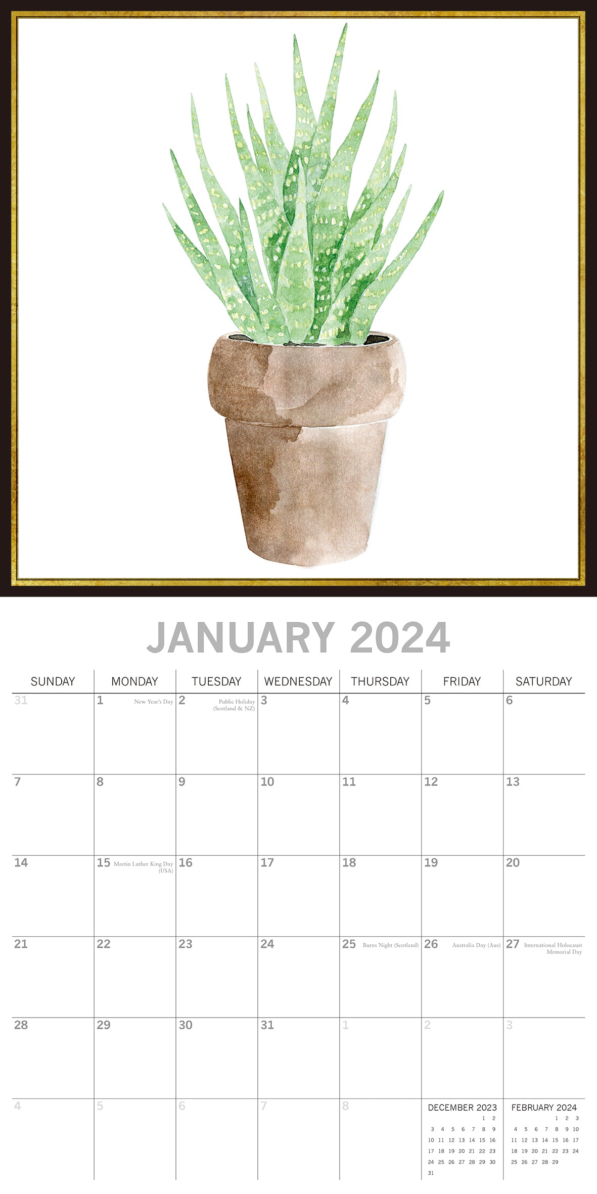 Succulents - 2024 Square Wall Calendar 16 Months Arts Planner Xmas New Year Gift