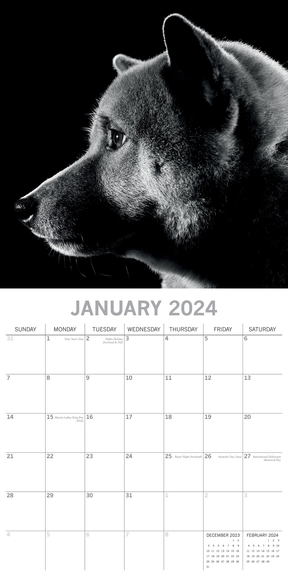 Dog Portraits - 2024 Square Wall Calendar 16 Months Black & White Planner Gift