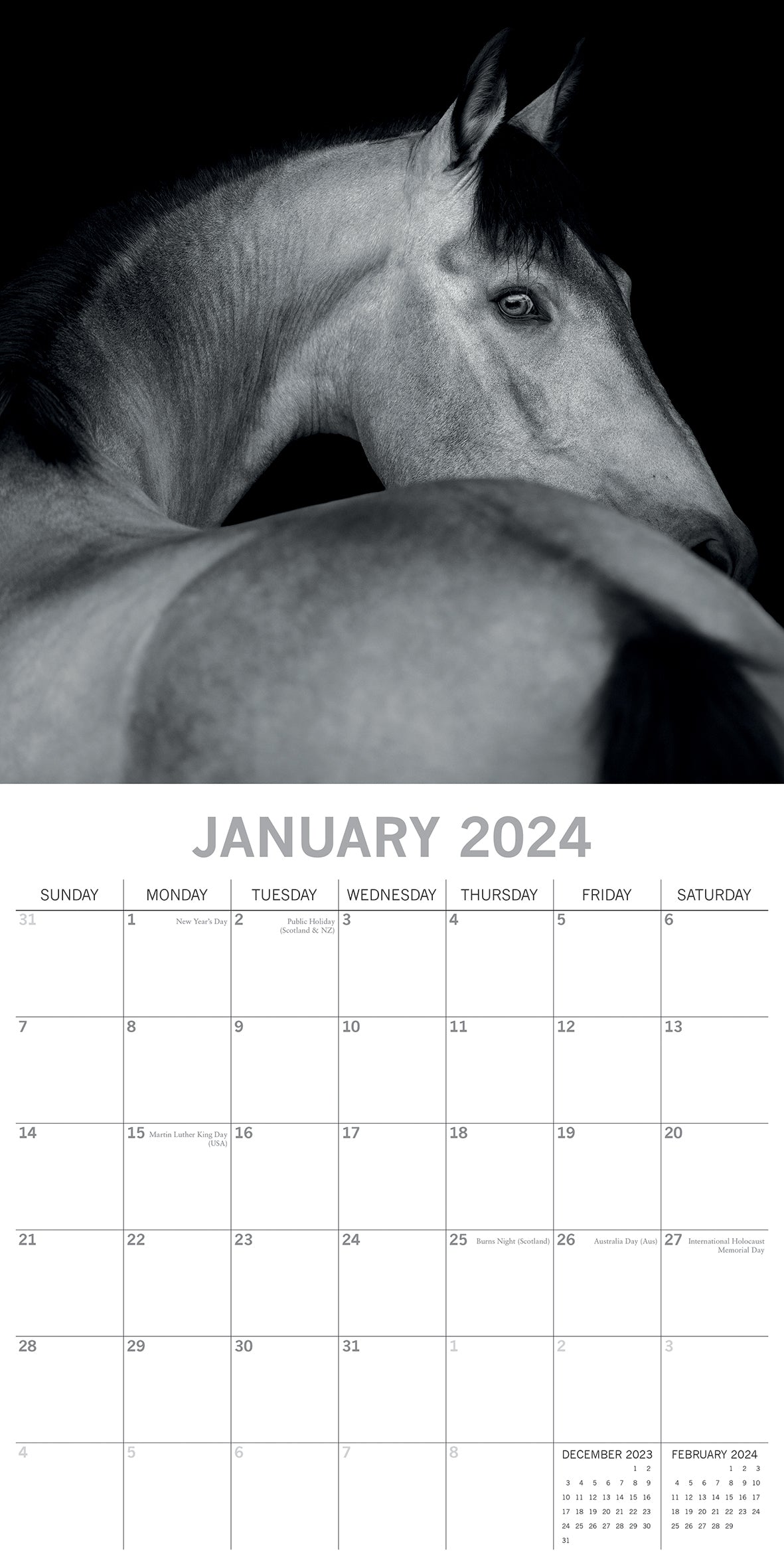 Horse Portraits - 2024 Square Wall Calendar 16 Months Black & White Planner Gift