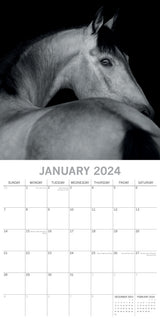 Horse Portraits - 2024 Square Wall Calendar 16 Months Black & White Planner Gift - Side View