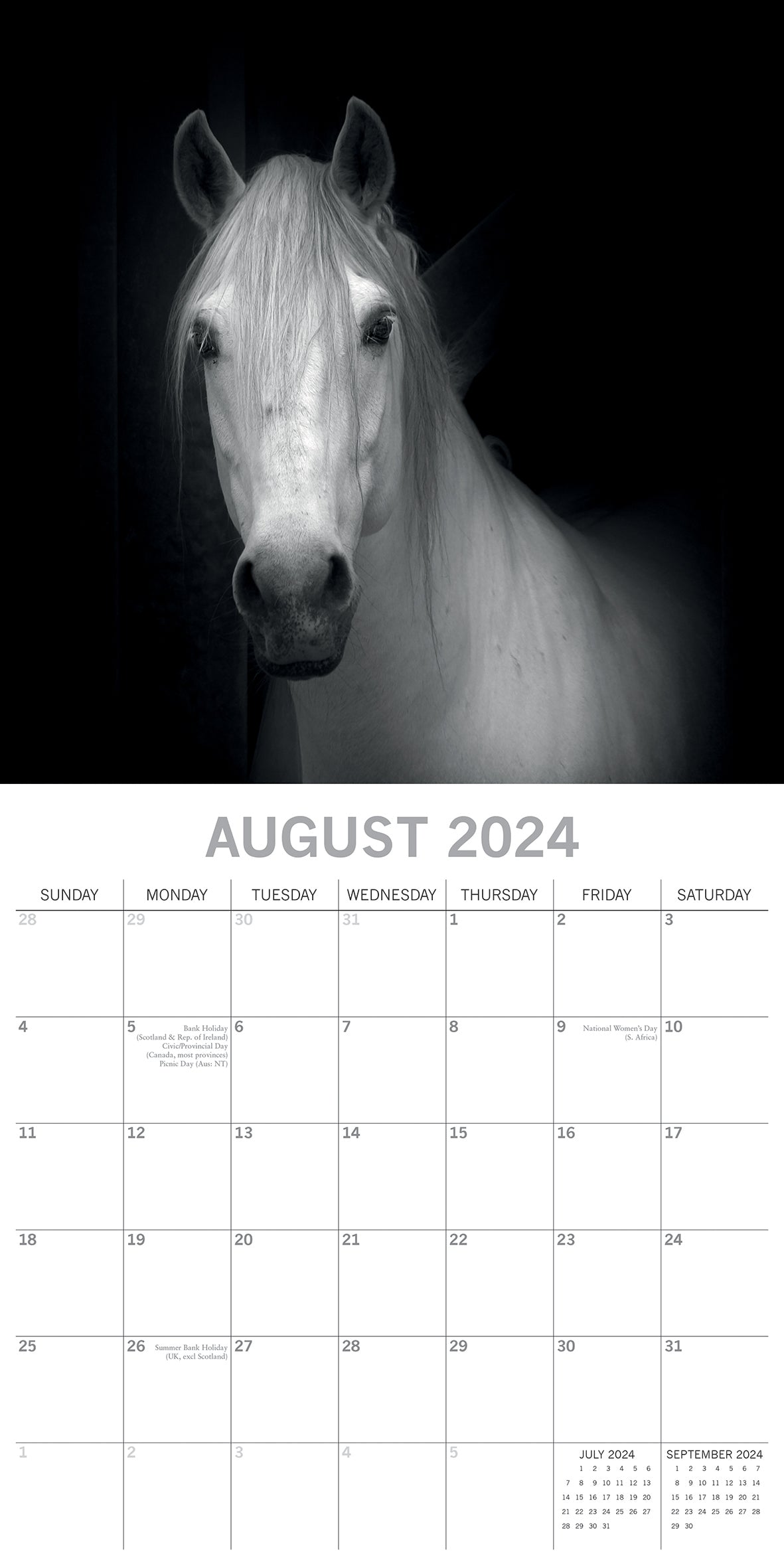 Horse Portraits - 2024 Square Wall Calendar 16 Months Black & White Planner Gift