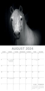 Horse Portraits - 2024 Square Wall Calendar 16 Months Black & White Planner Gift - Top-Down View