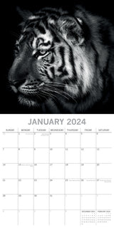 Wild Portraits - 2024 Square Wall Calendar 16 Months Black & White Planner Gift - Side View