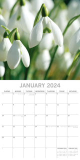 Beauty of Flowers 2024 Square Wall Calendar 16Month Floral Planner New Year Gift - Side View