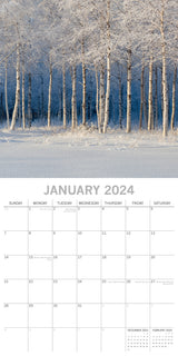 Beauty of Trees 2024 Square Wall Calendar 16 Month Floral Planner Christmas Gift