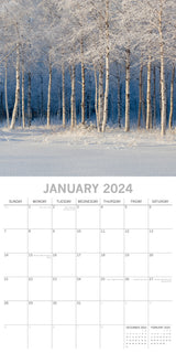 Beauty of Trees 2024 Square Wall Calendar 16 Month Floral Planner Christmas Gift - Side View