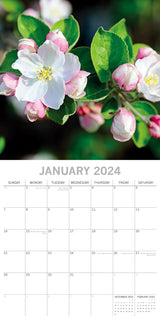 Blossoms 2024 Square Wall Calendar 16 Months Floral Flower Planner New Year Gift - Side View