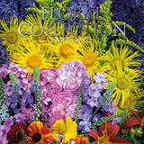 Floral Collection 2024 Square Wall Calendar 16Month Flower Planner New Year Gift