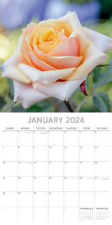 Roses 2024 Square Wall Calendar 16 Months Floral Planner Christmas New Year Gift - Side View