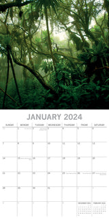 Jungles - 2024 Square Wall Calendar 16 Months Premium Planner Xmas New Year Gift - Side View
