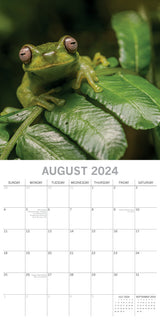 Jungles - 2024 Square Wall Calendar 16 Months Premium Planner Xmas New Year Gift - Top-Down View