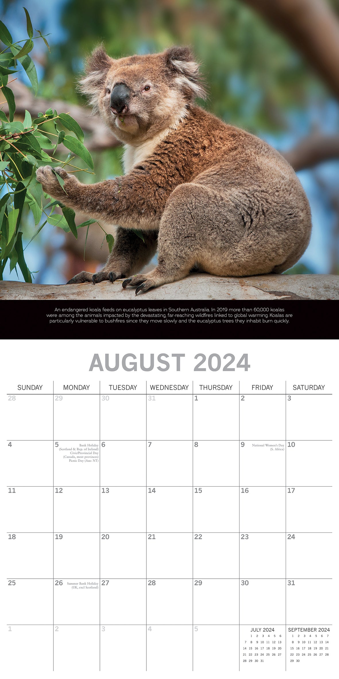 Save the Planet - 2024 Square Wall Calendar 16 Months Planner Xmas New Year Gift