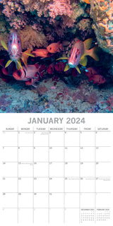 Under the Sea 2024 Square Wall Calendar 16 Month Planner Christmas New Year Gift - Side View