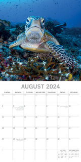 Under the Sea 2024 Square Wall Calendar 16 Month Planner Christmas New Year Gift