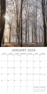 Woodland Scenes - 2024 Square Wall Calendar 16 Months Planner Xmas New Year Gift