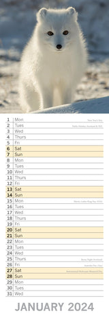 Adorable Animals 2024 Slimline Slim Wall Calendar Hanging Planner New Year Gift - Side View