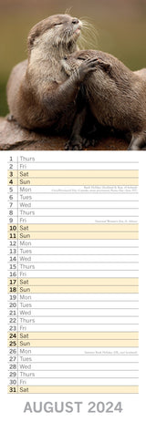Adorable Animals 2024 Slimline Slim Wall Calendar Hanging Planner New Year Gift - Top-Down View