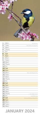 Birds - 2024 Slimline Slim Wall Calendar Hanging Planner New Year Gift