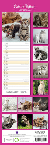 Cats & Kittens - 2024 Slimline Slim Wall Calendar Hanging Planner New Year Gift - Front View