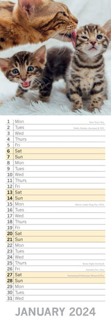 Cats & Kittens - 2024 Slimline Slim Wall Calendar Hanging Planner New Year Gift - Side View