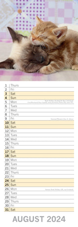 Cats & Kittens - 2024 Slimline Slim Wall Calendar Hanging Planner New Year Gift - Top-Down View