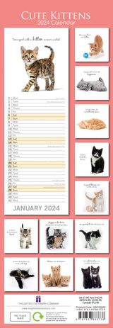 Cute Kittens - 2024 Slimline Slim Wall Calendar Hanging Planner New Year Gift - Front View