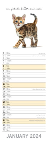 Cute Kittens - 2024 Slimline Slim Wall Calendar Hanging Planner New Year Gift - Side View